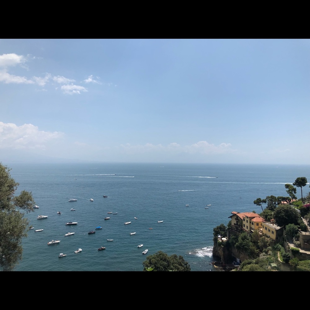 Meet your Posher, Catherine